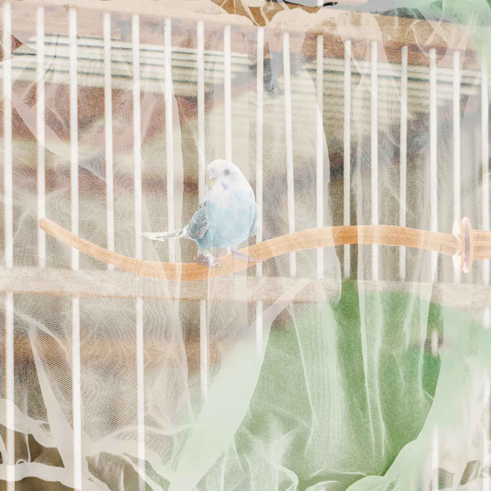 

Birdcage Cover Mesh Splash-Proof Protector Durable Nylon Net For Parrot Cage Easy Clean Bird Cage Supply Pet Use