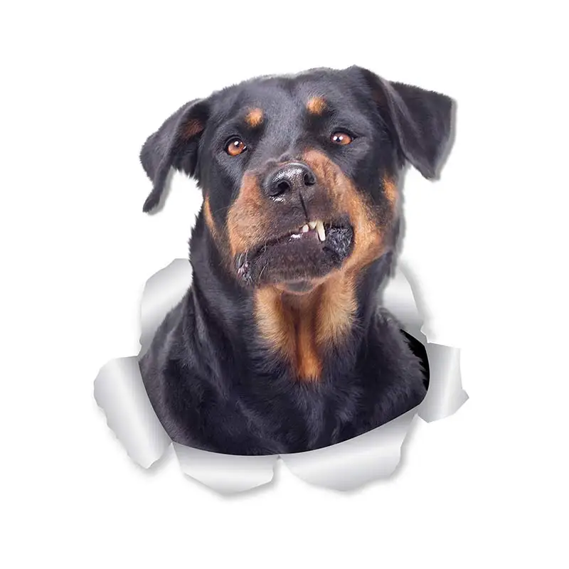 M463 Wurst Hund Rottweiler Hund Yorkshire Terrier Hund PVC Haushalt Dekoration Wand Aufkleber Toilette Aufkleber – Detail 12