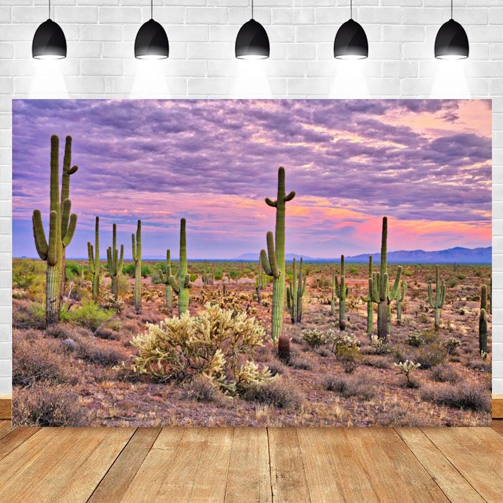 Cactus Desert Scene Backdrops for Photography Dusk Desert Mountain Shrub Hillside Blue Sky Cloudy Natural View Photo Background