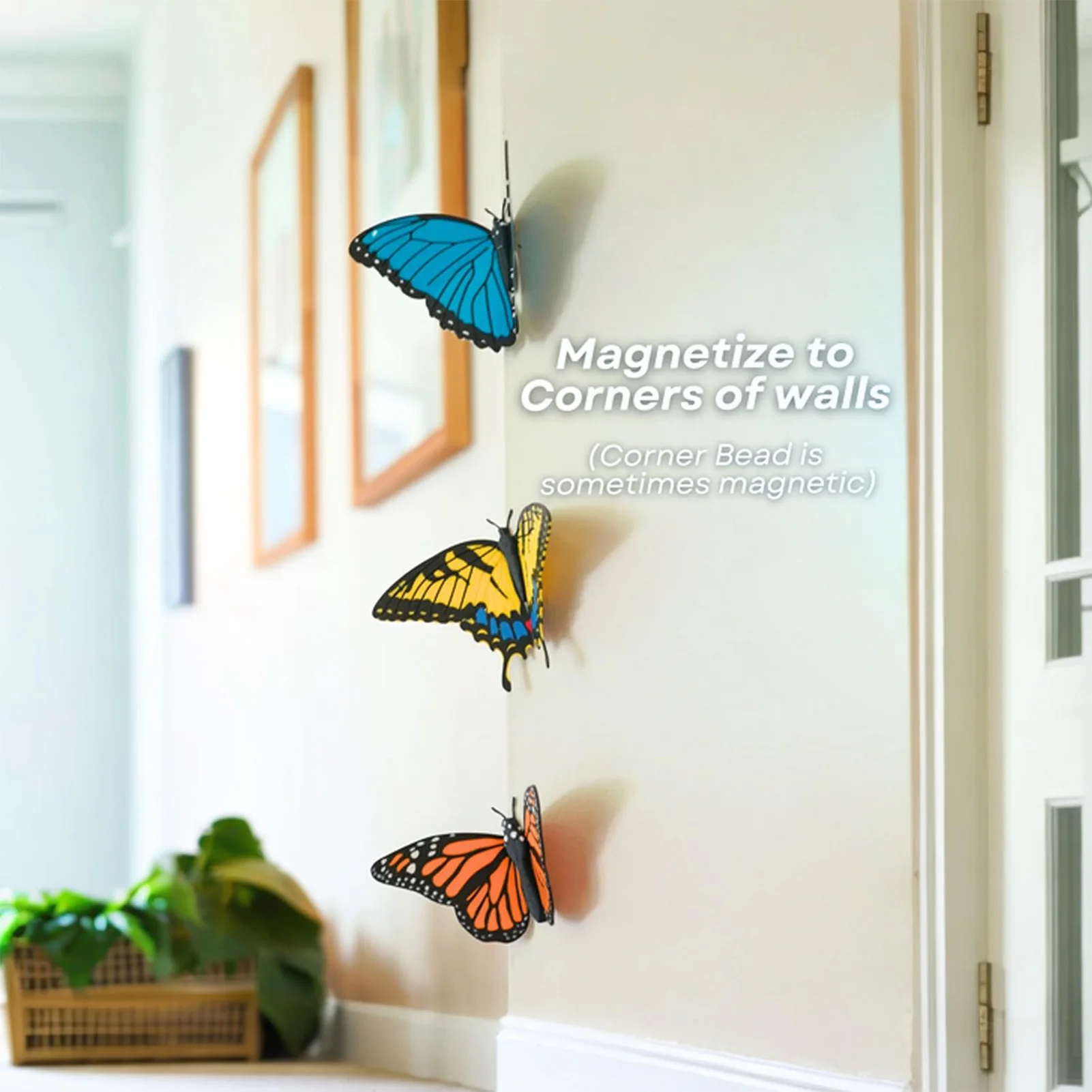 3D Simulated Butterfly Fridge Magnets Monarch Blue & Tiger Swallowtail Fridge Magnets Gift for Birthdays and Festivals