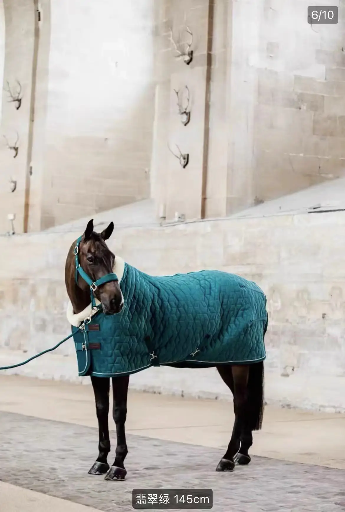 Anti-cold Exquisite Equestrian Bag Thermal Quilted Turnout For Horses Breathable Horse Rug