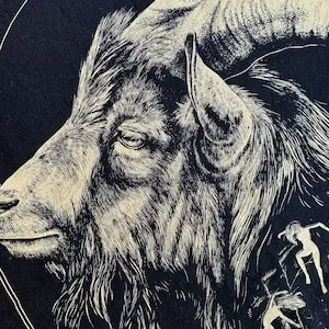 The Witch || VVitch || Black Phillip - T-shirt