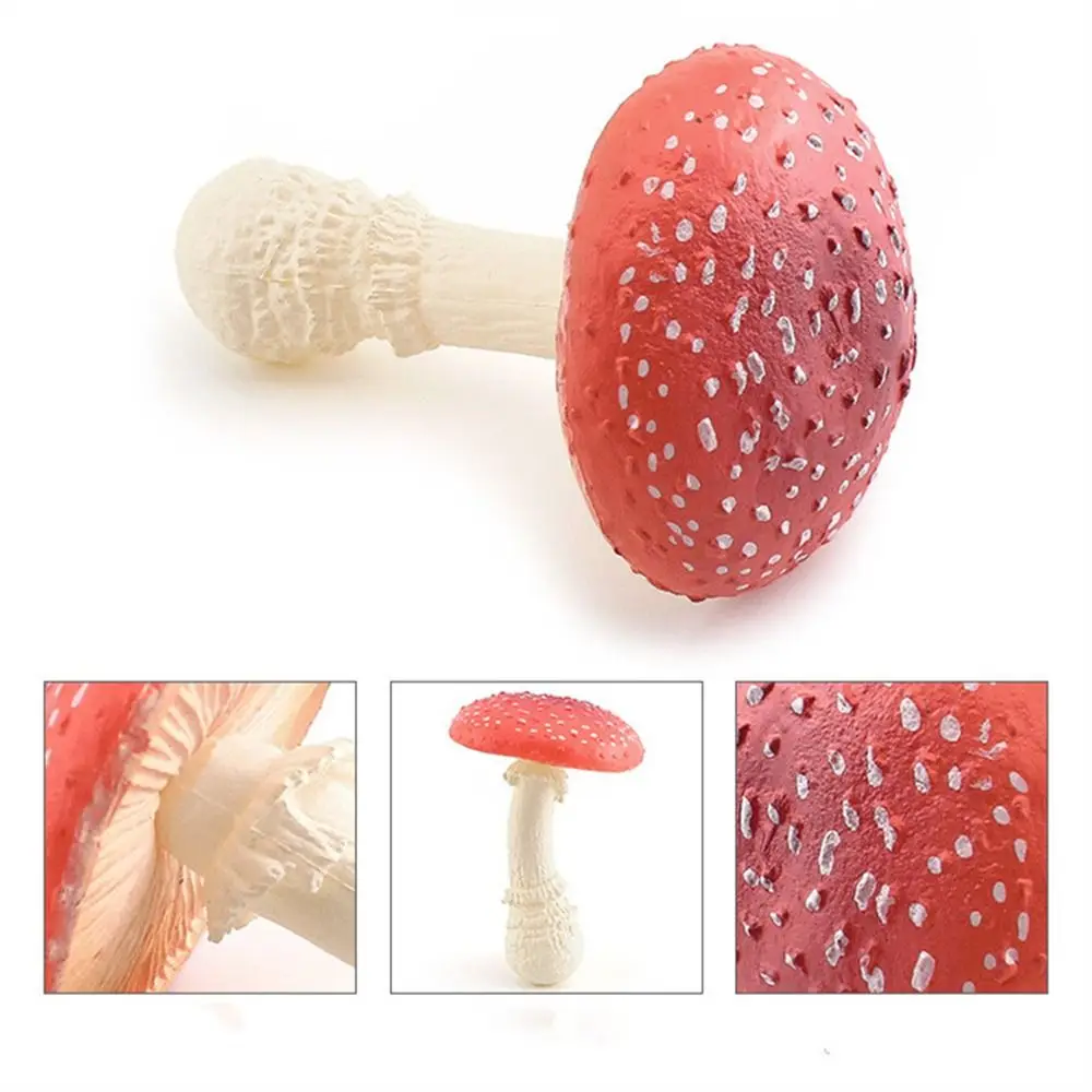 Vegetable Model Fungus Figurines Matsutake Oyste Landscape Miniatures Simulation Mushroom Teaching Toy Artificial Fungus Model