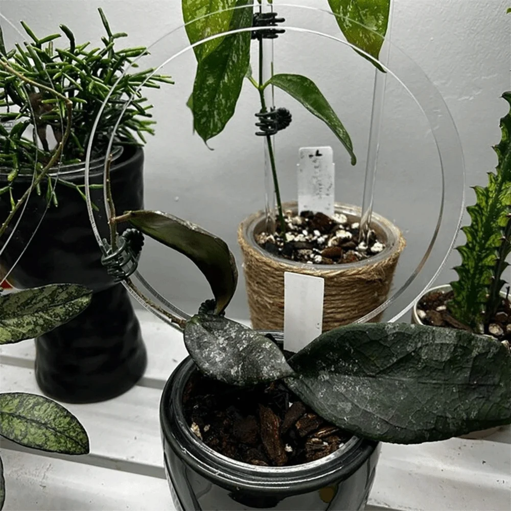 Transparent Acrylic Plant Bracket Weather-resistant Sturdy Plant Trellis Round Shape Fixed Support Frame Potted Plants