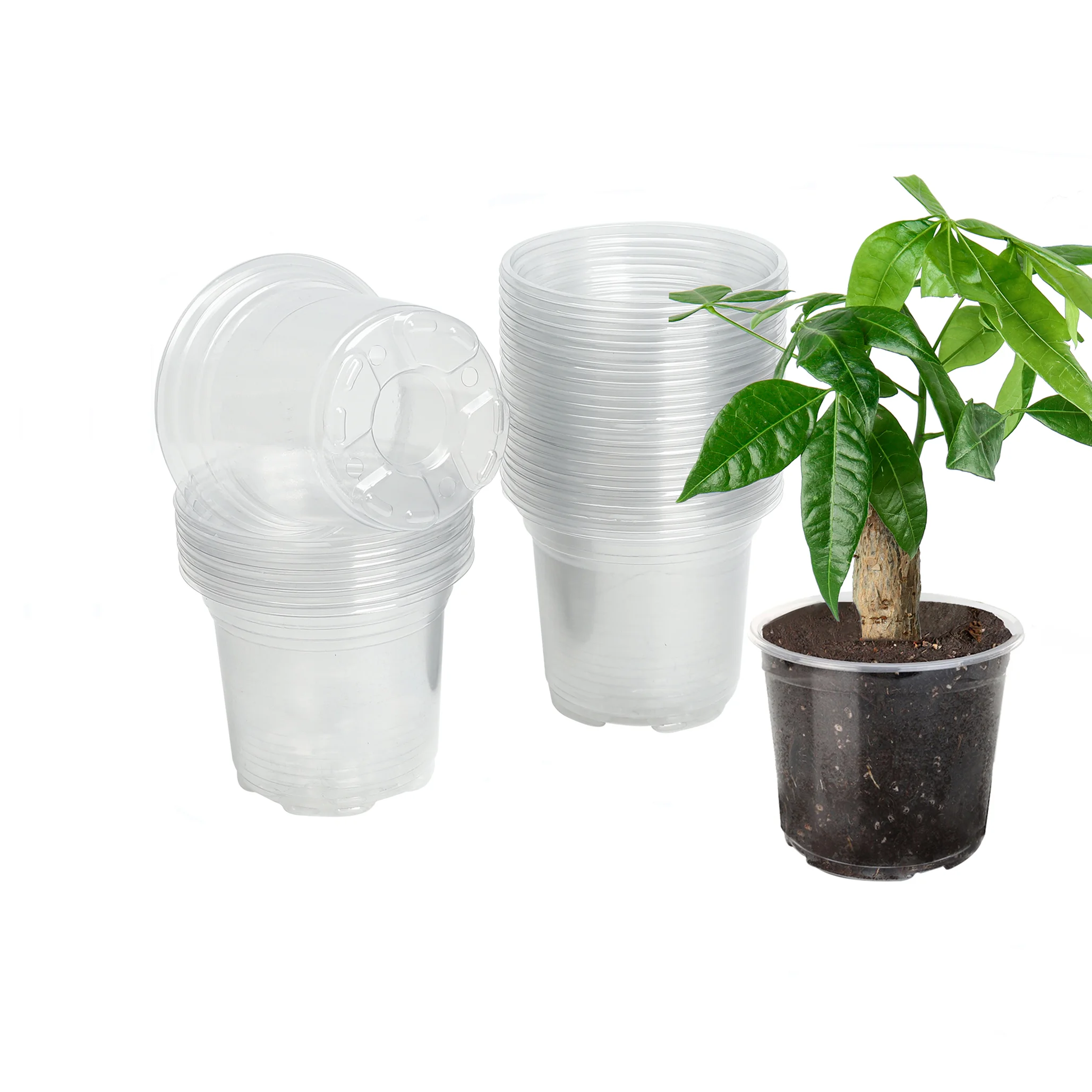 30 4-inch clear plastic planters with humidity domes and drainage holes for indoor succulents, seed starting, seedlings