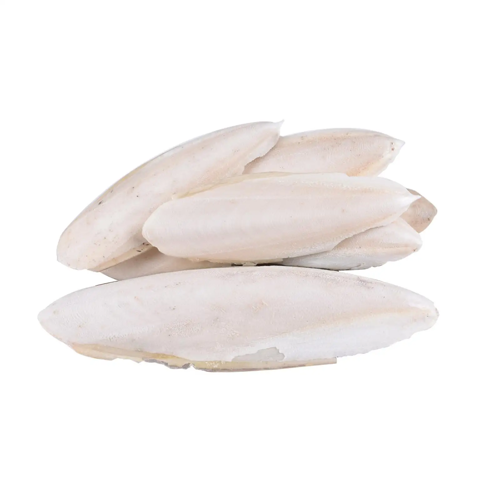 Tintenfisch Knochen Papagei Kauen Spielzeug Hamster Papagei Essen einfach Haustier Kalzium absorbieren zu Backenzahn Spielzeug Ergänzung Cuttlebone Entsalzung Bi D6H9