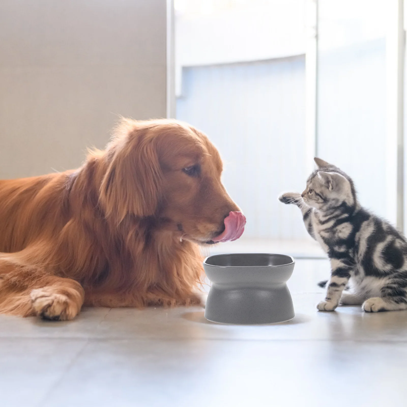 

Dark Gray Protective Pet Cat Bowl Oblique Mouth Durable PP Plastic Non-Slip Base Stable Feeding Dish Food Water