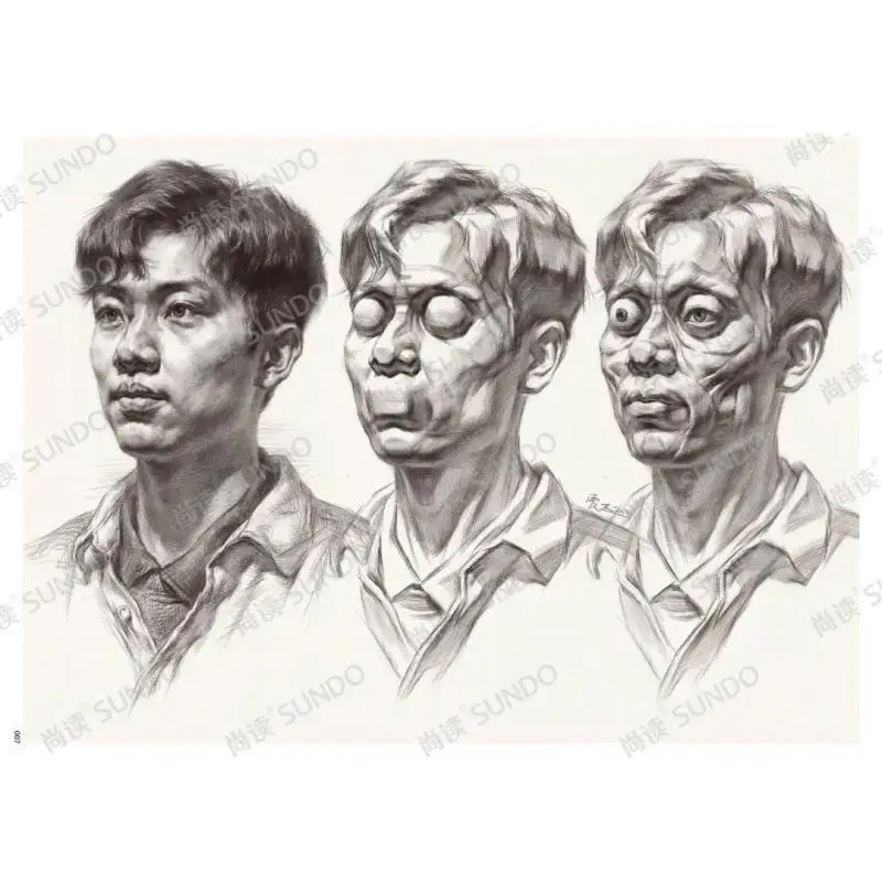 Super courseware 6.0 Jia Jie Sketch head 2022 still read beginner character head portrait template basic entry
