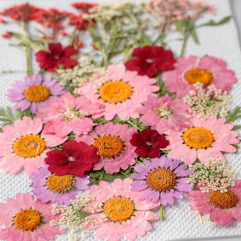 35Pcs Vintage Scrapbooking Stickers DIY Decorative Plants Dried Pressed Flowers Retro Stickers For Diary Embellishment Supplies