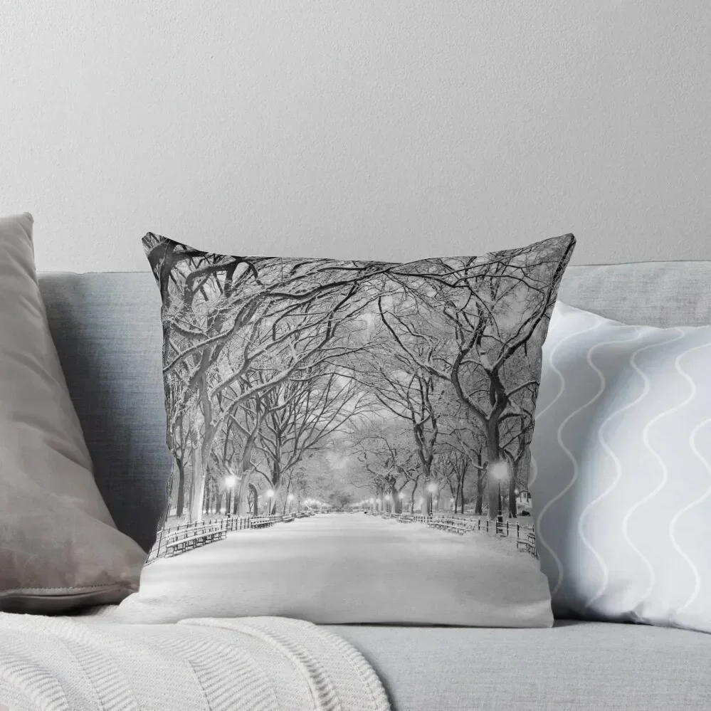 

Cental Park New York, NY winter scene Throw Pillow autumn decoration christmas supplies luxury decor Sitting Cushion pillow