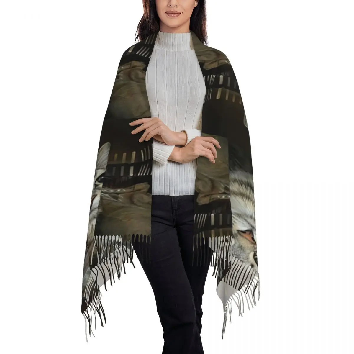 Cat Looking Directly At You Scarf Tassel Scarves Women Soft Warm Shawls and Wraps Long Fall Winter Shawl Wrap