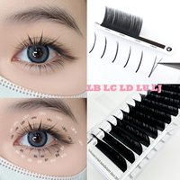 Camellia False Eyelashes 0.05 0.07 LJ LC LB curl Eyelash Extensions Soft False Eyelashes Upgrade Premium Individual Lashes