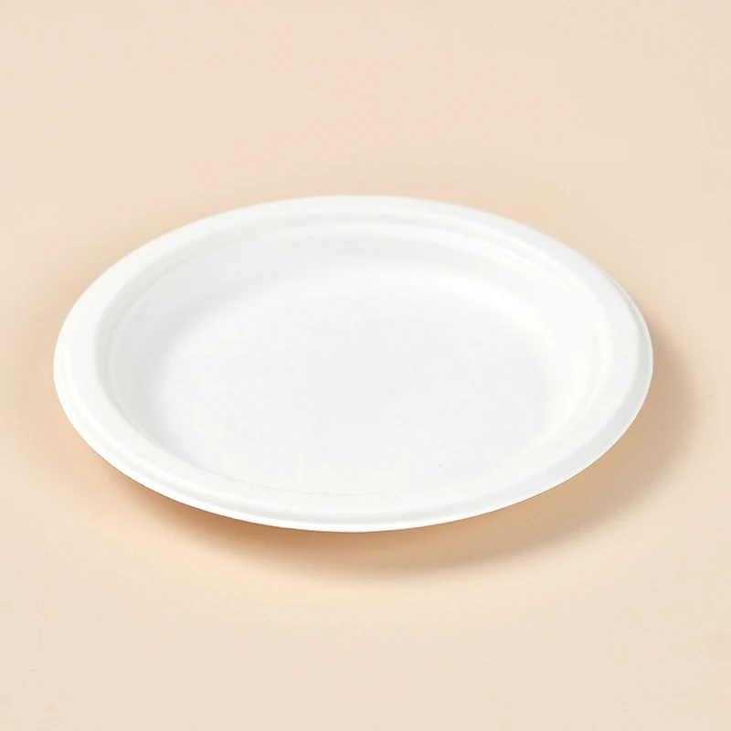 

9-Inch Disposable School Lunch Tray Compostable Bagasse Party Plate Wedding Party Plate Vegetable Plate on Paper