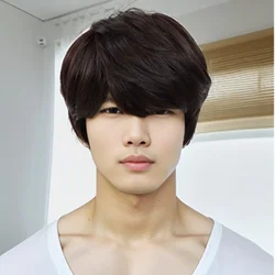 Natural Dark Brown Wig Synthetic Short Wigs for Men Straight Hair Wig with Bangs Japanese Korean Hairstyle Soft Daily Man Wigs