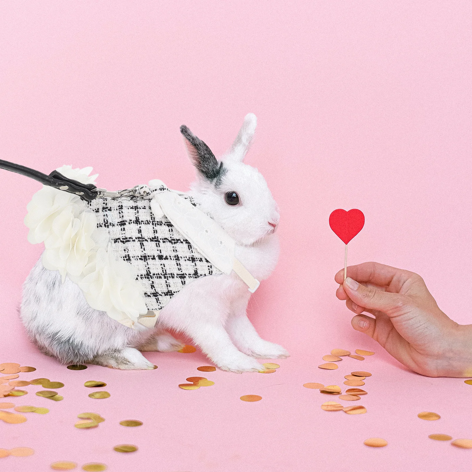 

1Set Rabbit Clothes Bunny Harness Sleeveless Cute Cotton Pet Dress Leash Decorative Bunny Harness Party Holiday Outdoor
