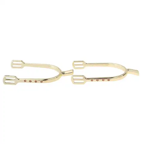 2 pcs Zinc Alloy Horse Spurs Equestrian Horse Riding Spurs Riding Crops for Women