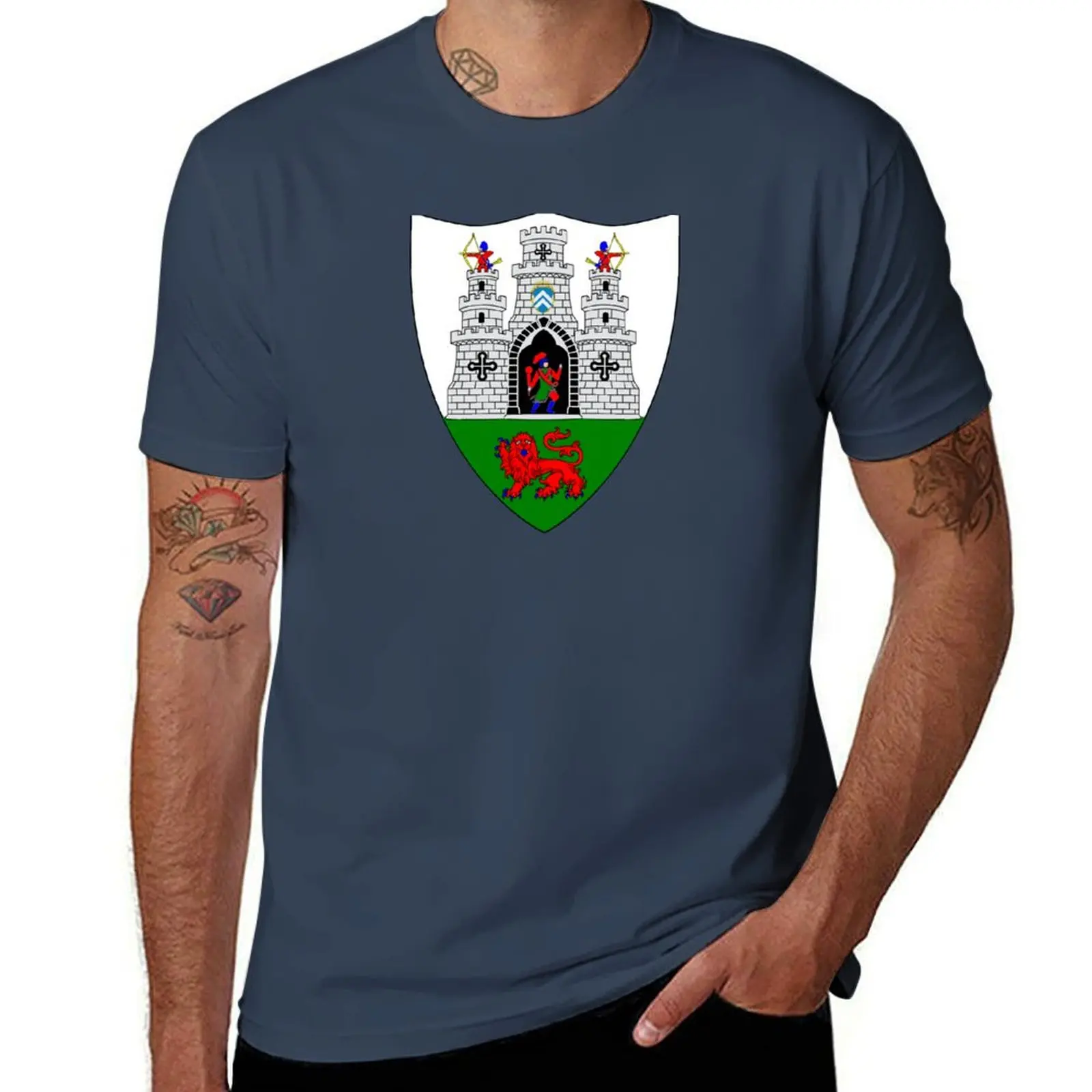 

Coat of Arms of Kilkenny, Ireland T-Shirt quick drying luxury t-shirt mens cotton t shirts