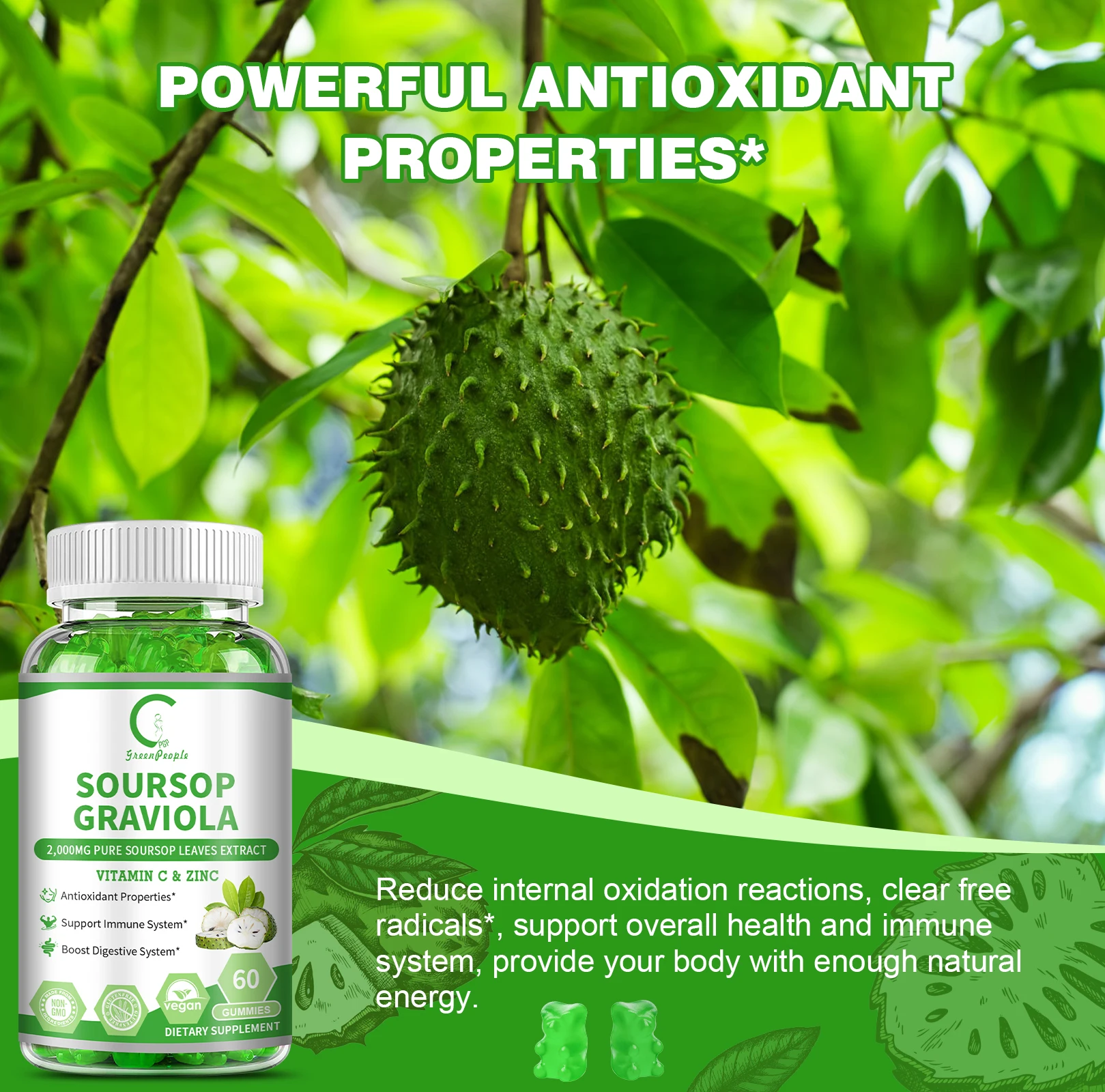 Soursop Graviola Capsules for Cell Growth&renewal,stress Relief,immune Enhancement,herbal Plant Extract Rich In Anti-Oxidants