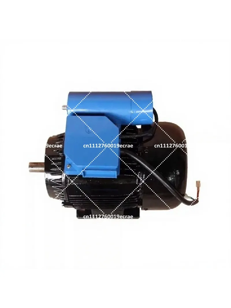 280/380 Fine Copper Wire Motor 220V High Pressure Cleaner Car Washing Pump Accessories