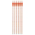 Orange 6pcs