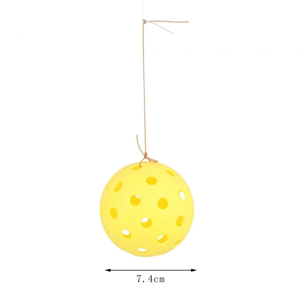 

Solo pickleball training, pickleball trainer with pickleball ball sports