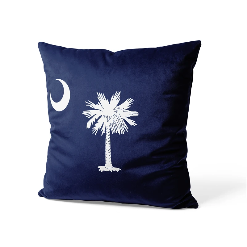 Aertemisi 18'' x 18'' South Carolina Throw Pillow Cushion Covers Cases Pillowcases for Sofa 45cm x 45cm