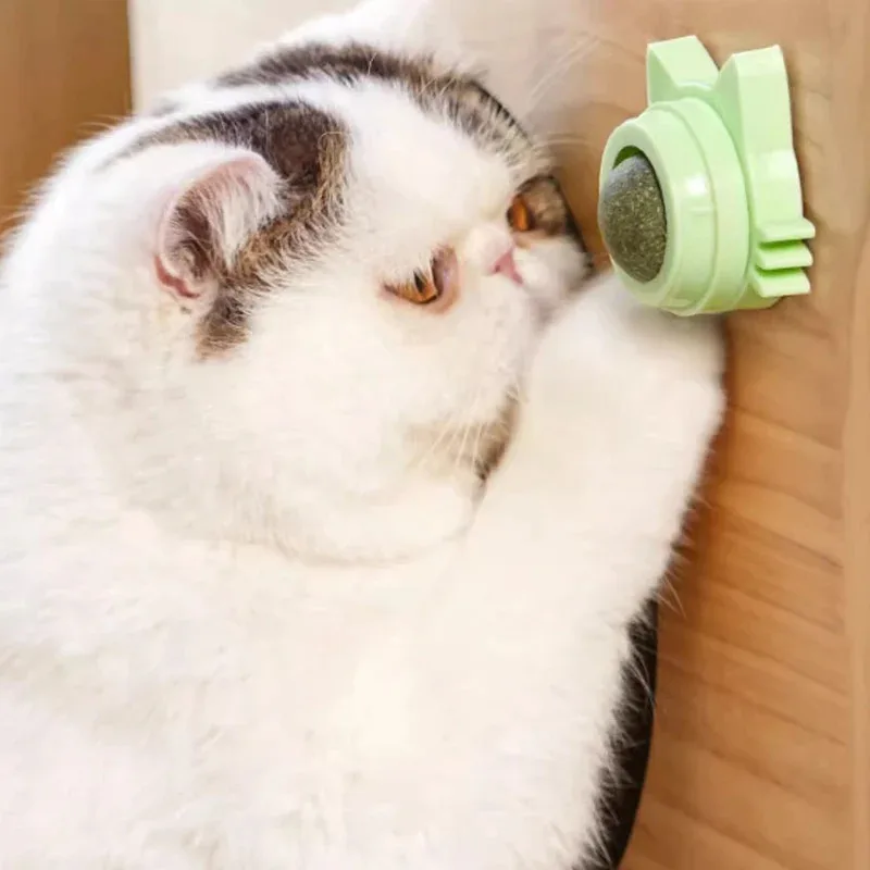 1PCS Catnip Lollipop Cat Treat Wall Design Dental Care Fresh Breath Cat Snacks Energy Ball Stomach Protection Pet Supplies image 3