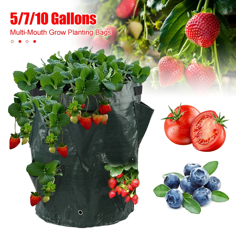 

Multi-Mouth Grow Bag 5/7/10 Planting Bags Reusable Gallons Strawberry Tomato Growing Bag Gardens Balconies Flower Herb Planter