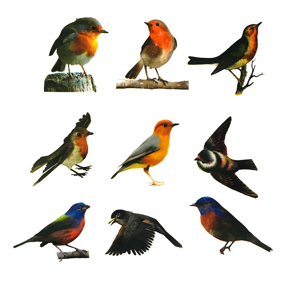 10/30/50PCS Realistic Color Robin Bird Cute Sticker For Toy Luggage Laptop IPad Cup Journal Phone Case Window Sticker Wholesale