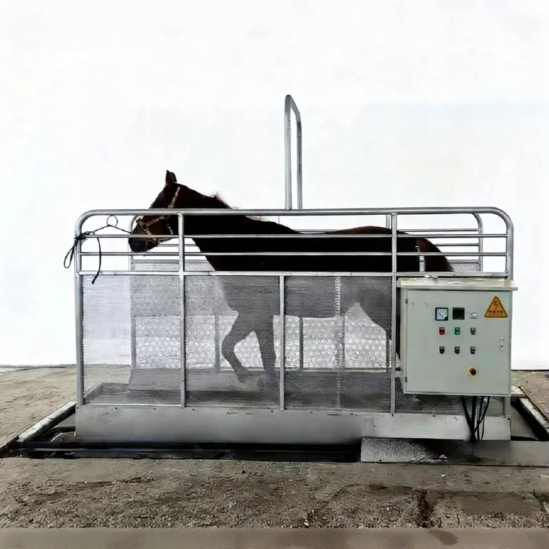 2026 New CE Certified Reeds HW-03 7.5kw High Speed Horse Treadmill Running Table