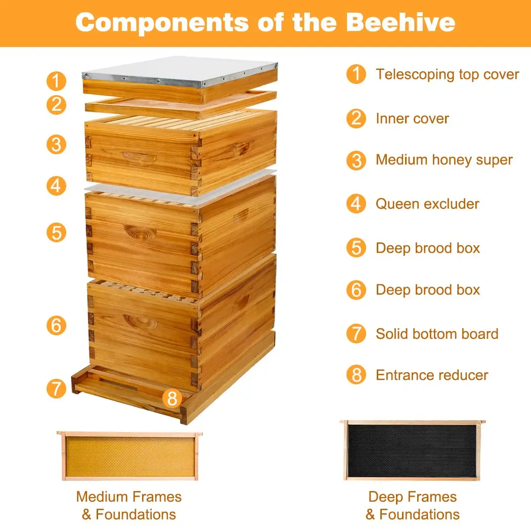 8-Frame Langstroth Beehive Starter Kit, Beeswax-Coated Hive Boxes with 2 Deep Brood Boxes & 1 Medium Super, Includes Wooden