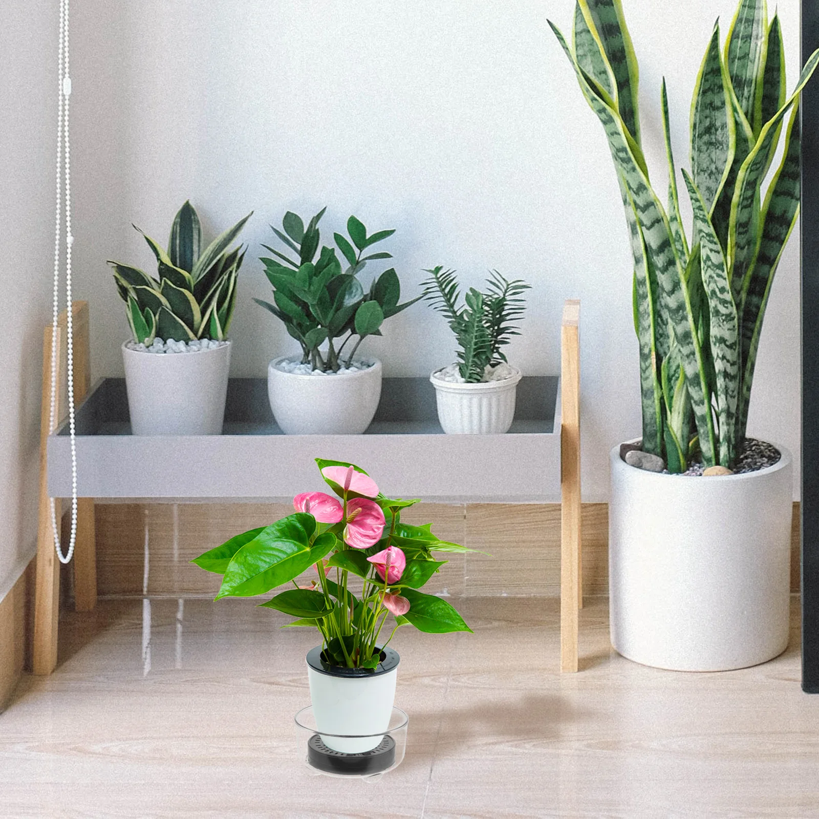 

Deep Plastic Plant Tray Adjustable Height Large Pots Self Watering Saucer Sturdy Construction Transparent Storage Drip Trays