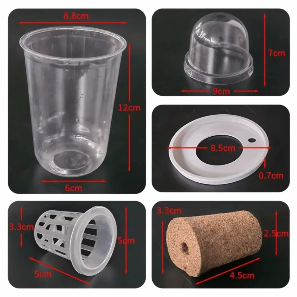 المواد البلاستيكية أواني زراعة البذور المائية قابلة لإعادة الاستخدام سلال الشتلات المتينة شفافة عرض الجذر أكواب العصارة المتنامية