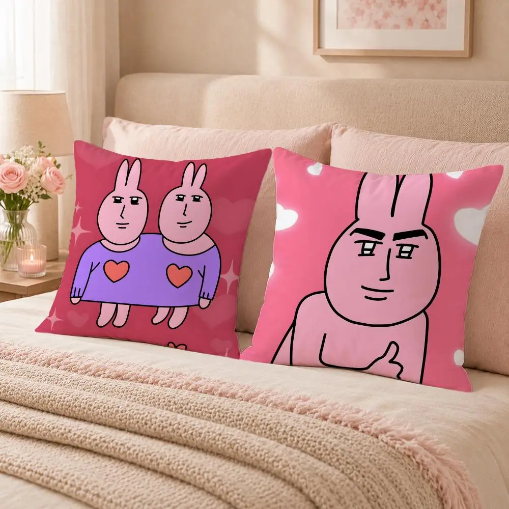 Cute Character M-My Friend RabbitS Cushion Cover Double-Sided Printed Pillow Cover Hypoallergenic Dust-Mite Proof