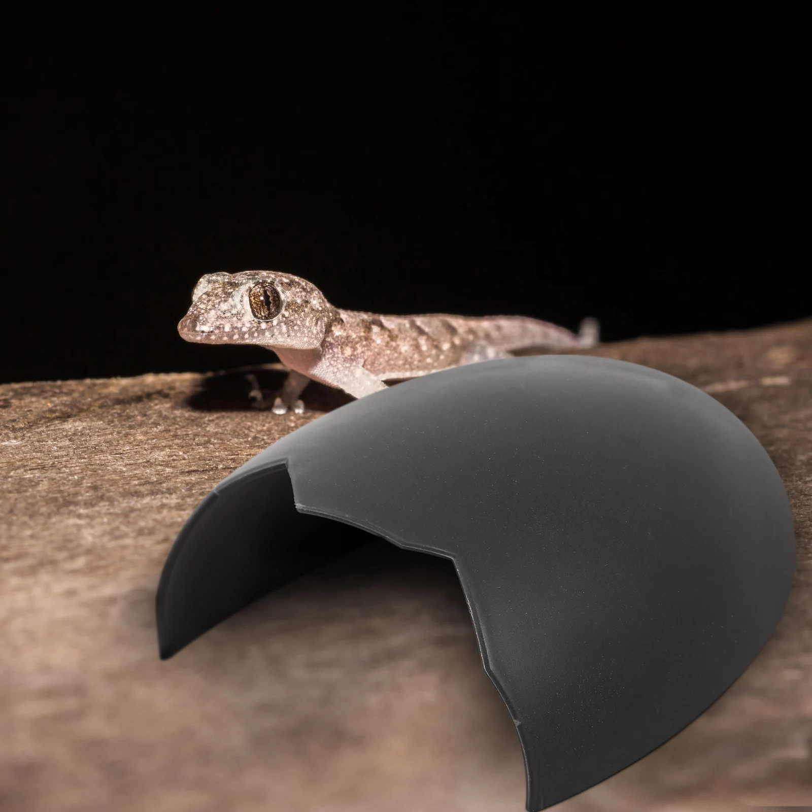 

Plastic Reptile Hideout House Eggshell Shaped Hiding Place Crawl Pets Tank Decor Lightweight Beautiful L scaping Versatile
