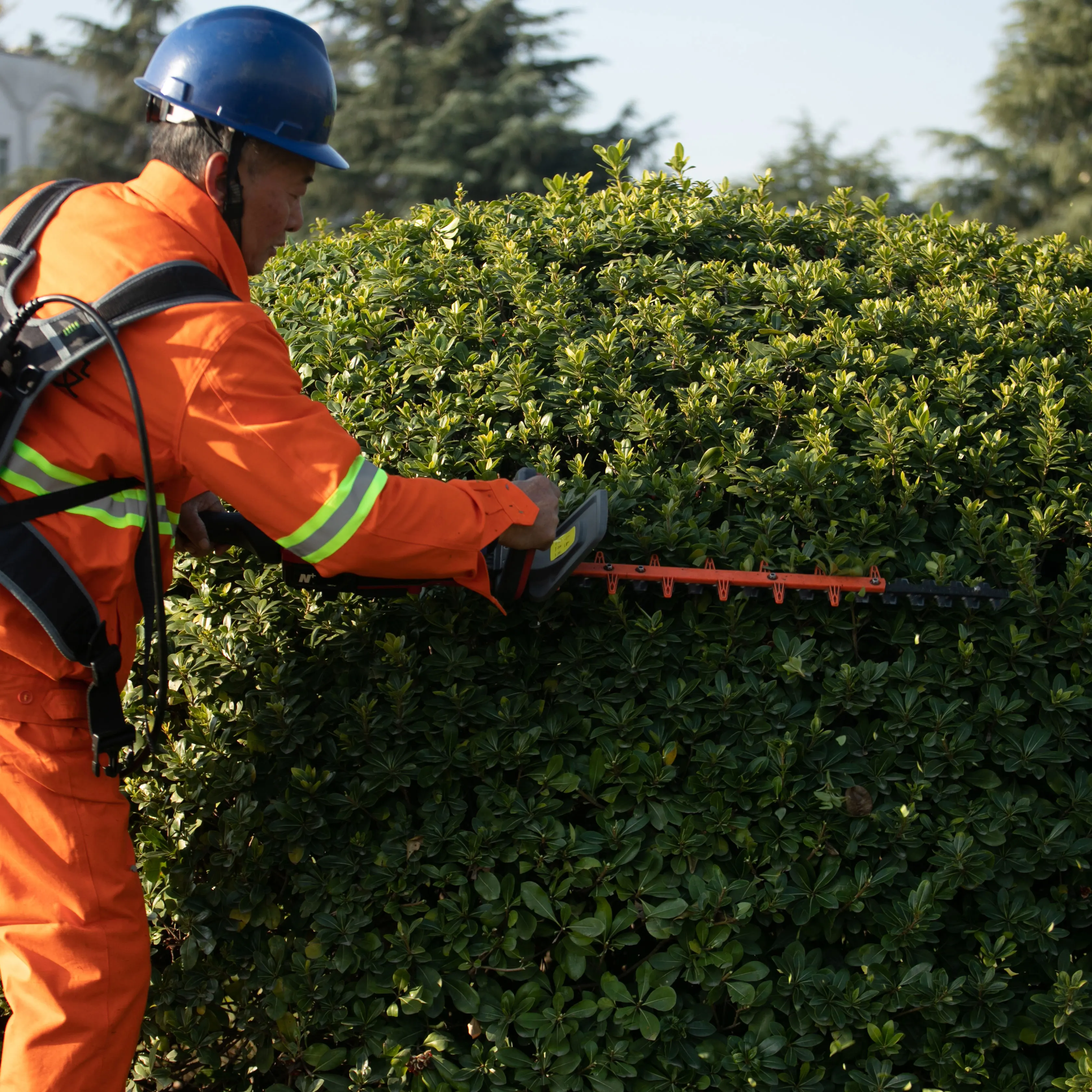 N+PLUS Dual-Action Blades For Smooth Cuts Cordless Hedge Trimmer Machine Flexible Trimming Lithium Hedge Cutter