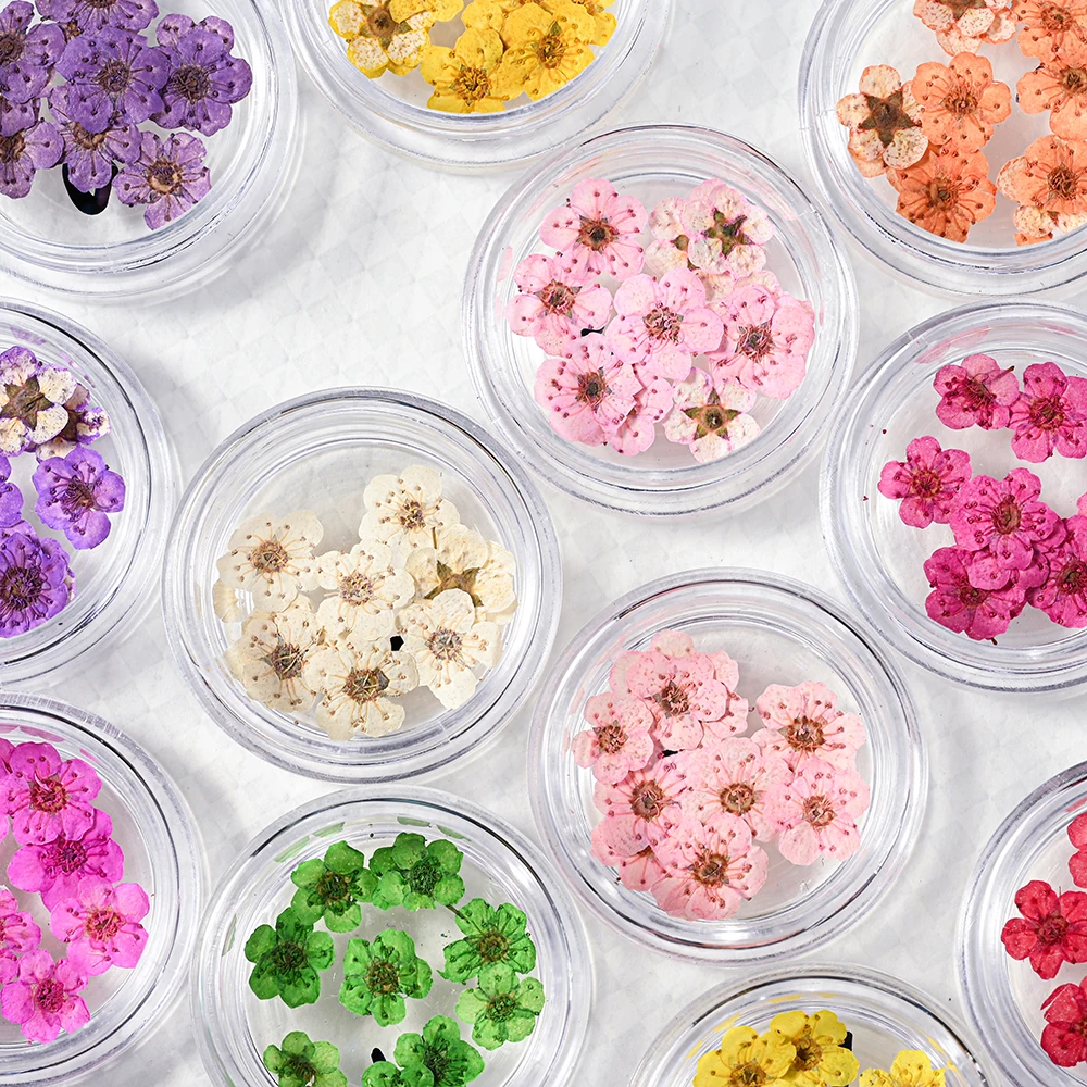 160Pcs=16box/set Mixed 3D Nail Mini Dried Flowers Sticker Kawaii Natural Floral Decal Real Natural Dry Flowers Nails DIY  Suppli