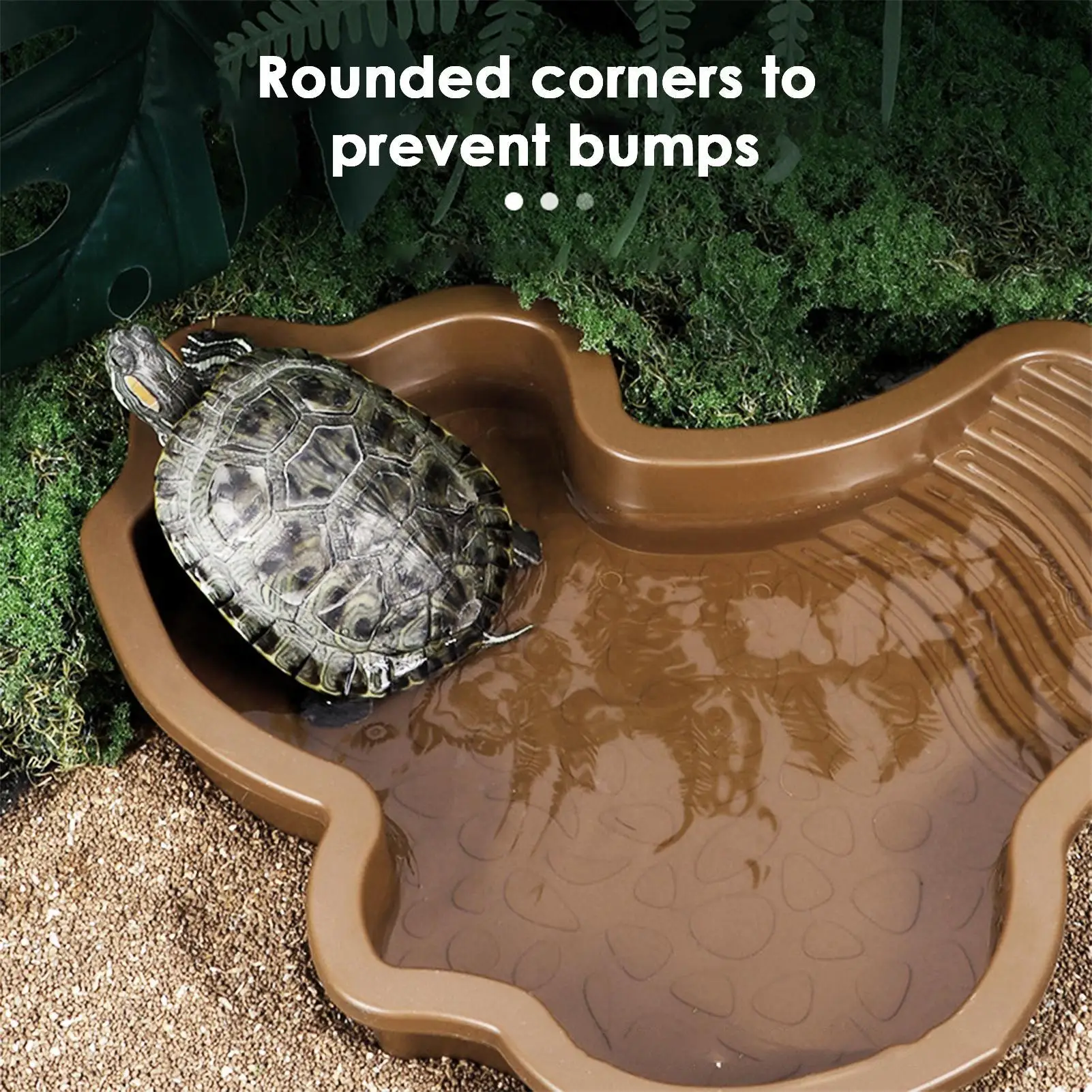 Thumbnail 2 - #40 Compare Reptile Water Bowls Before You Buy