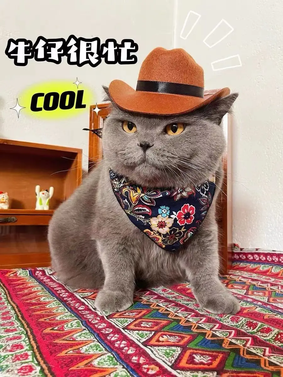 Cool Pet Hat Cat Puppy Dog Hat Headwear Western Cowboy Busy Photography Nomi Mini Cowboy Hat Gift