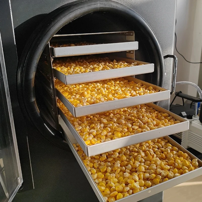 Small Mini Space Saving 470*630*810mm Easy to Operate Vacuum Lyophilizer Freeze Dryer Machine for Food Fruit Drying at Home