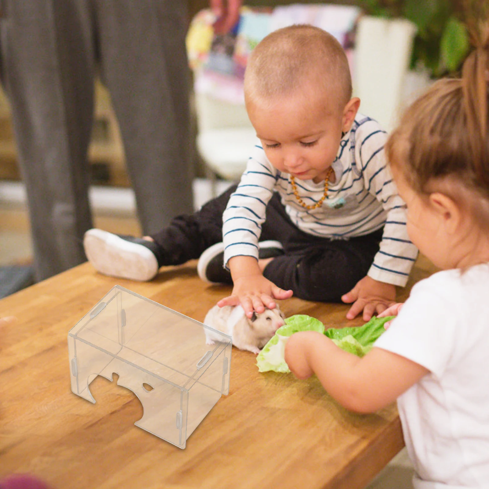 Hamster transparente esconderijo casa acrílico transparente espaçoso destacável pequeno habitat para animais de estimação para hamsters anões gerbils ratos ratos