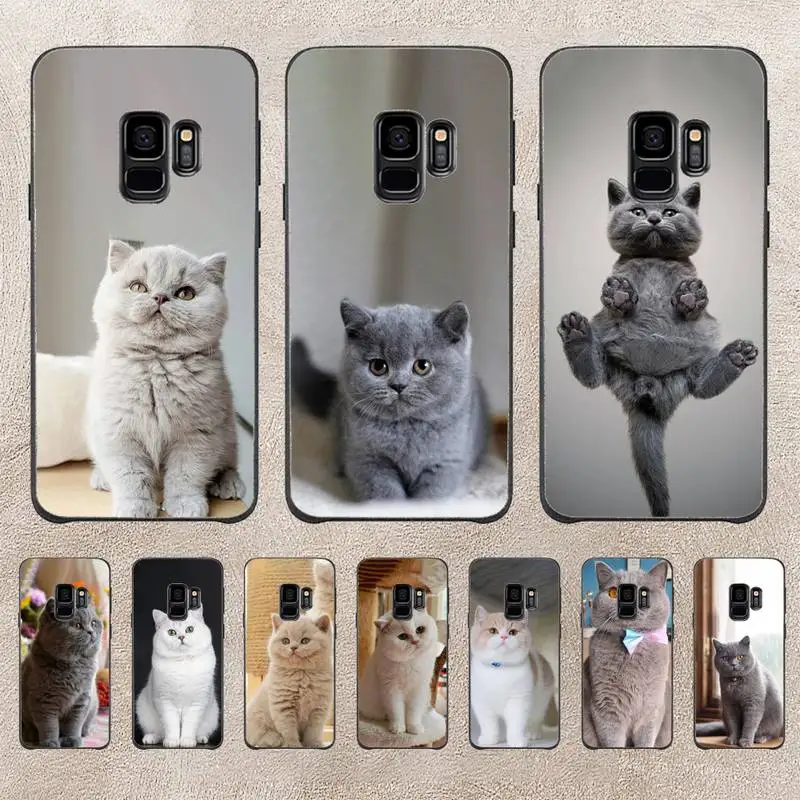 British Shorthair Cat Phone Case For Samsung Galaxy A51 A50 A71 A21s A31 A41 A10 A20 A70 A30 A22 A02s A13 A53 5G Cover Coque