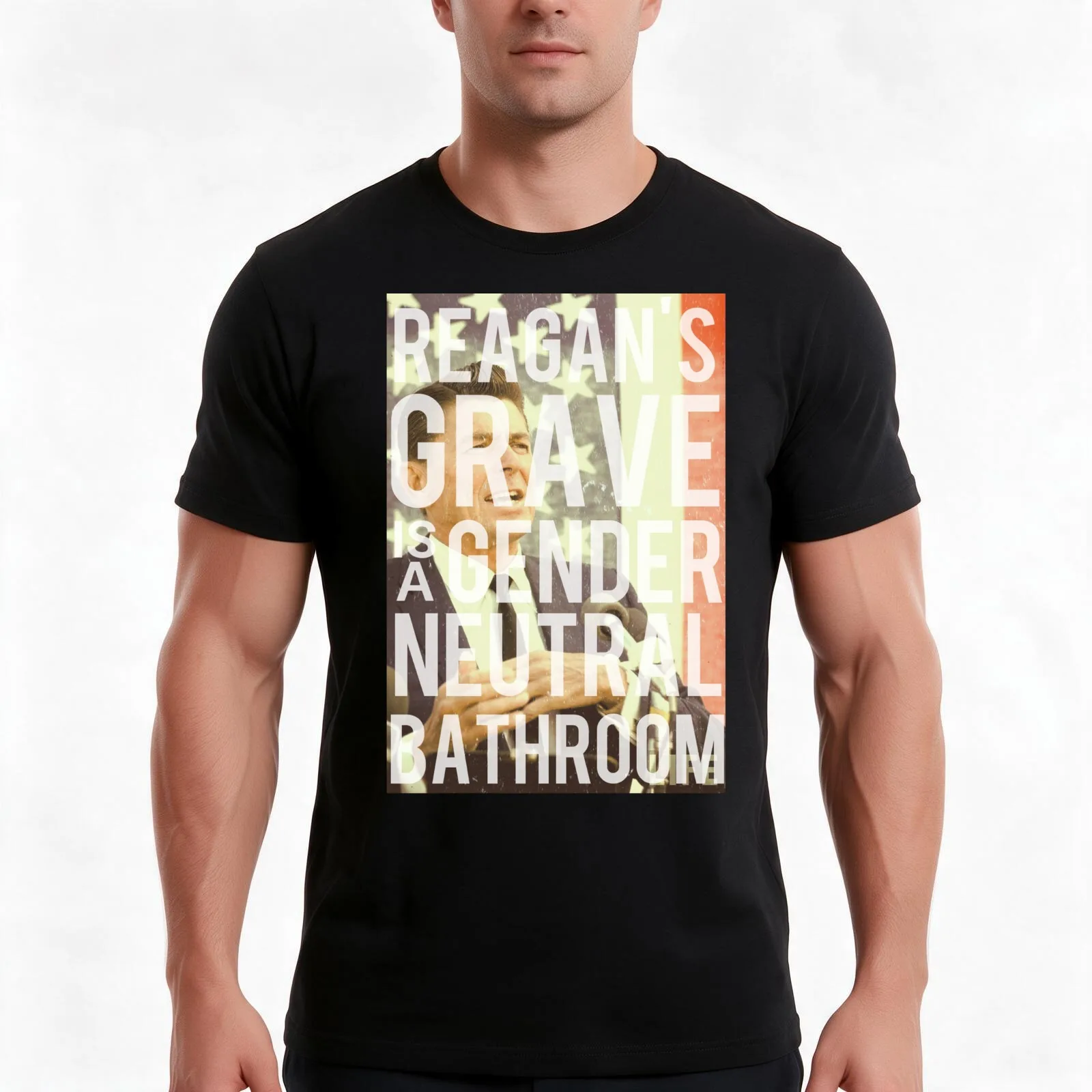 Reagan's Grave is a Gender Neutral Bathroom T-Shirt, Summer Casual Cotton Tee, Oversized Streetwear Tops, Vintage Graphic Print