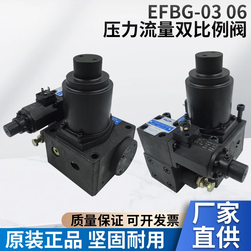 EFBG-03-125 EFGB-06-250 Overflow Flow Control Double Proportional Valve for In-jection Molding Machine
