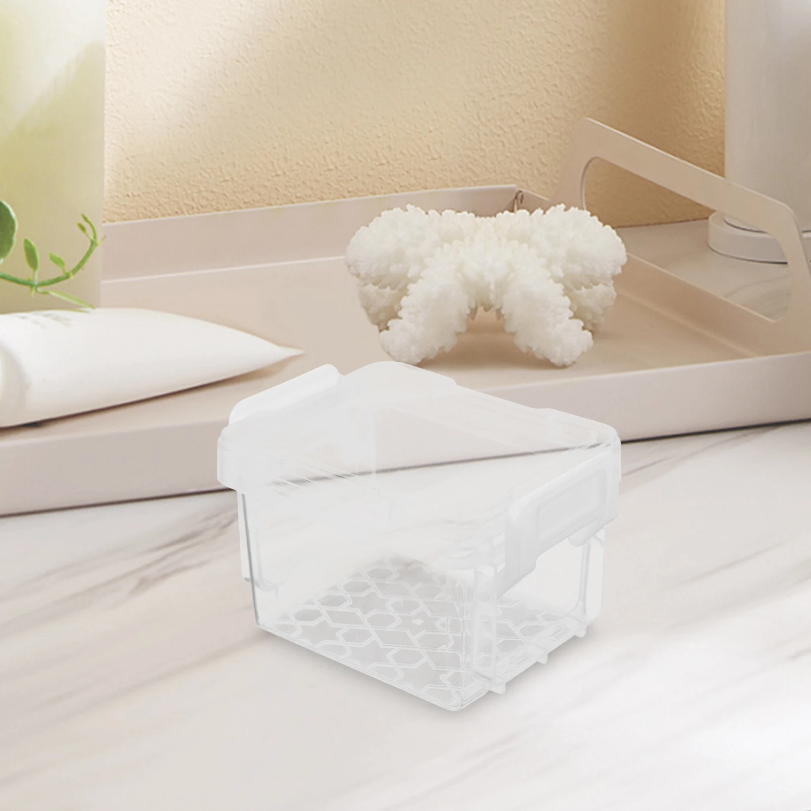 

5 Pcs Transparent Storage Box Beads Organizer Clear Jewelry Cases Holder Plastic Desk Stationary Backs Holders Container