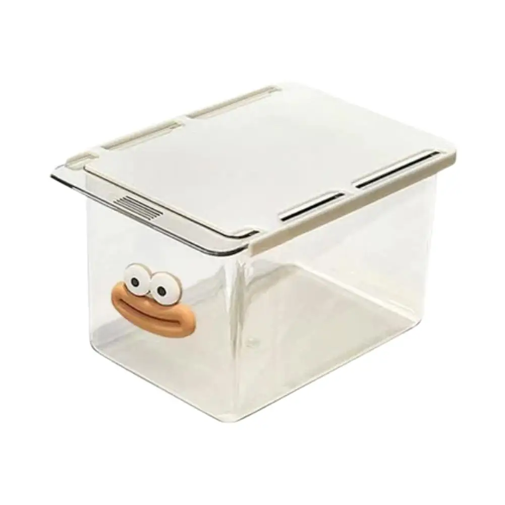 Plastic Makeup Storage Case Cotton Pad Holder with Handle Pull Out Desk Organizer Under Shelf Small Items Container for Dressing