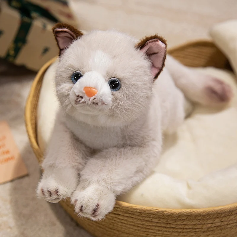Adorable gatito realista de peluche, posición de tumbado realista, decoración Ideal para el hogar, regalo de cumpleaños