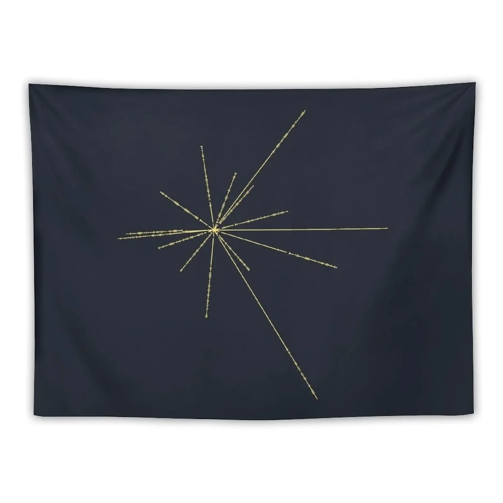 Space Exploration Pulsar Map Voyager Tapestry Aesthetics For Room Decor For Room Decoration Room Tapestry