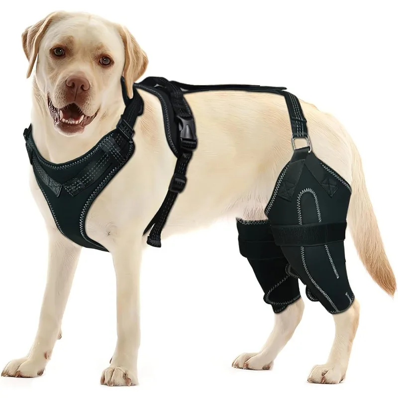 Universe Grocery Store Pet Protector Dog Thigh Protector Postoperative Auxiliary Leg Cover Adjustable Metal Support