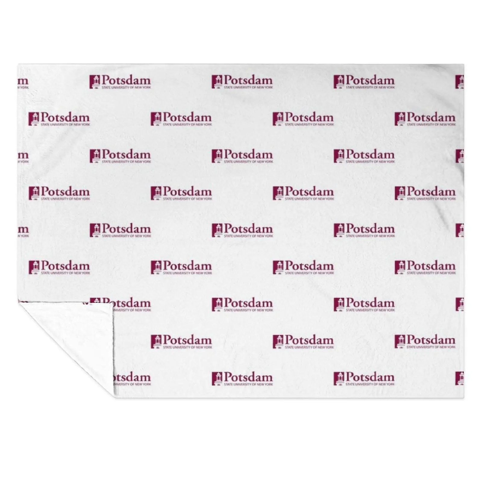 

SUNY Potsdam Throw Blanket Plush warm for winter Luxury Decorative Beds Blankets